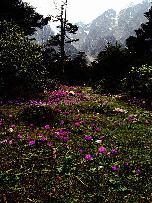 云塘谷图片下载