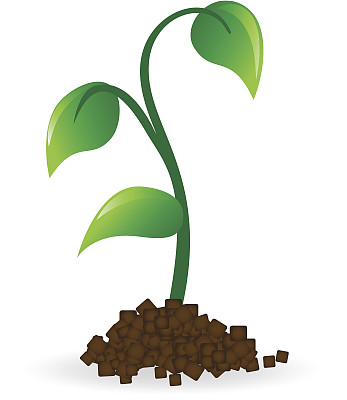 向量发芽图片下载