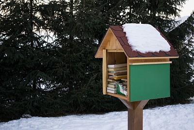 冬天在公园里看书。图片下载