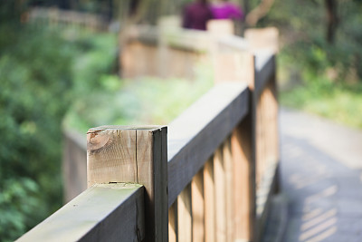 广场的森林图片下载