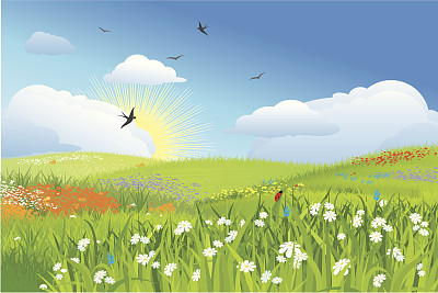 色彩缤纷的草地/花草，蓝天向量图片下载