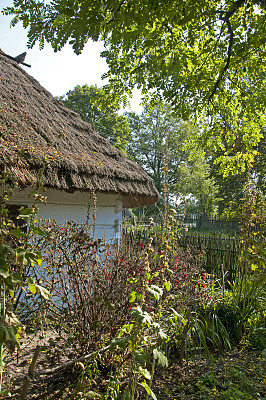 乡村小屋。图片下载