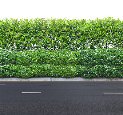 路边维韦和哈格德图片下载