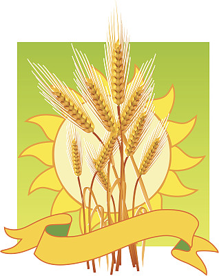 耳朵的小麦图片下载