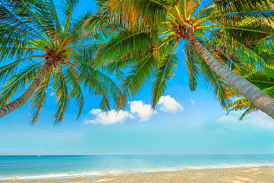 田园诗般的热带天堂图片下载