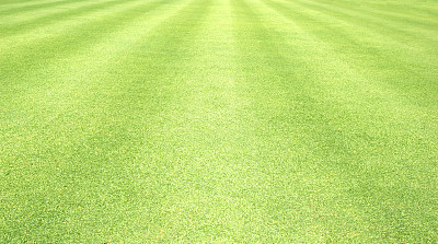 草地背景高尔夫球场绿色草坪图片下载