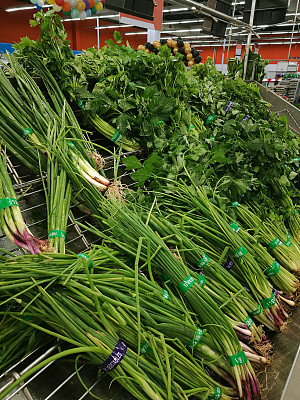 新鲜的大葱和香菜在市场上图片下载