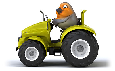 有趣的红罗宾图片下载