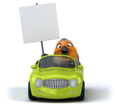 有趣的红罗宾图片下载