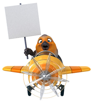 有趣的红罗宾图片下载