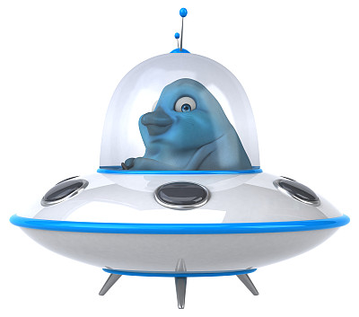 有趣的鸟图片下载