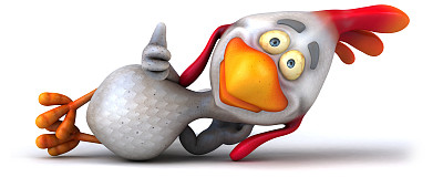 有趣的鸡图片下载