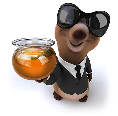 有趣的熊图片下载