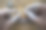 钟表匠正在重复手表图片下载