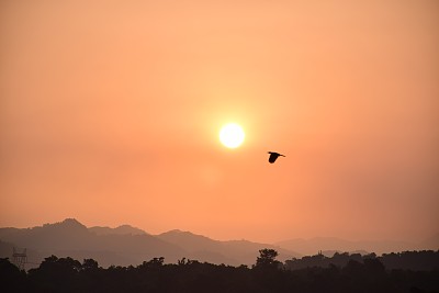 亮橙色早上好图片下载