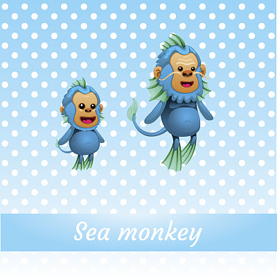 来自海洋深处的两只有趣的猴子图片下载