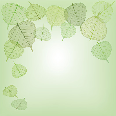 绿色的叶子与复制空间图片下载