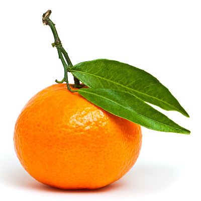 橘子用树叶图片下载