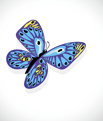 白色背景上的彩色蝴蝶图片下载