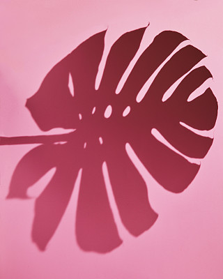 粉色背景带阴影图片下载