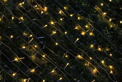 圣诞节照明图片下载