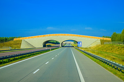 在高速公路上图片下载