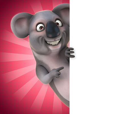 有趣的考拉图片下载