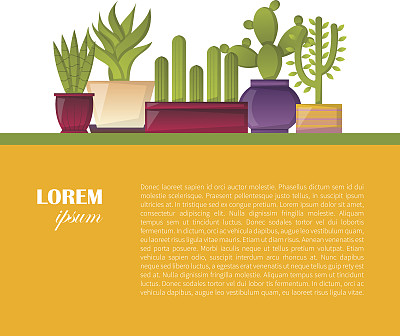 矢量卡通仙人掌背景图片下载