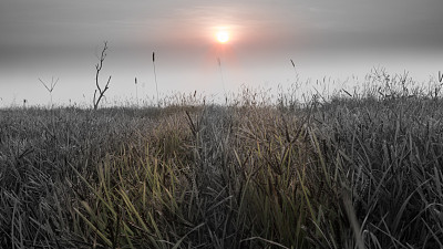 清晨的风景，太阳在薄雾中图片下载