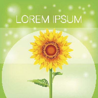 向日葵的旗帜图片下载