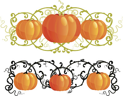 南瓜在感恩节图片下载