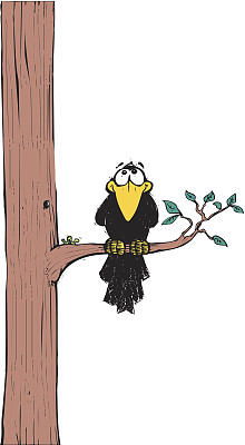 乌鸦在树上图片下载