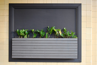 作为街道场地装饰的一部分的壁挂式花坛图片下载