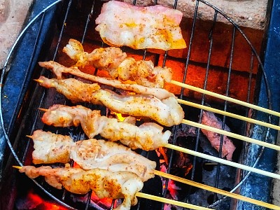 派对用的香料烧烤炉图片下载