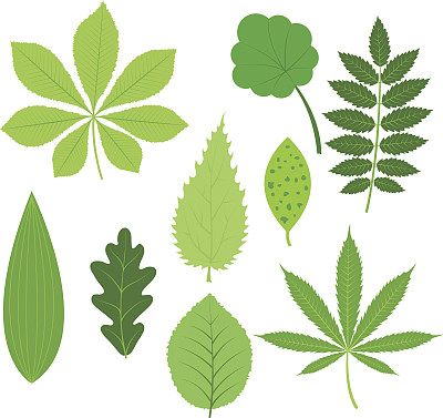 离开图标矢量插图。图片下载