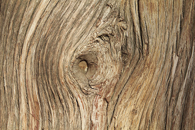 木材纹理与旋转图片下载