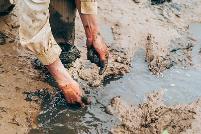 在越南收集海螺图片下载
