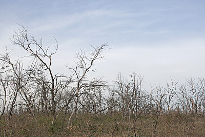 荒地在伊斯特里亚图片下载