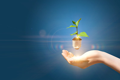 手执光自萌。素材图片