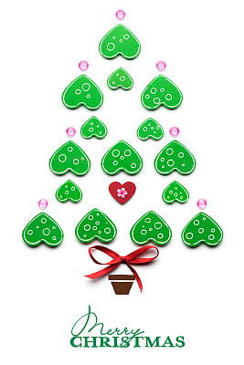 神奇的树。图片下载