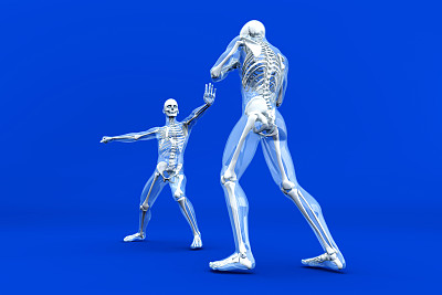 解剖学-武术图片下载