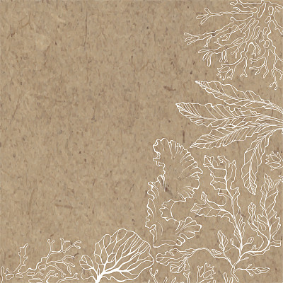 带有藻类和文本区域的海洋背景矢量插画，牛皮纸纹理素材图片