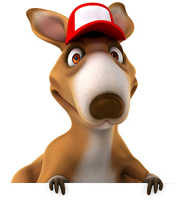 有趣的袋鼠图片下载