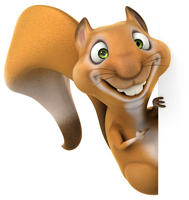 有趣的松鼠图片下载