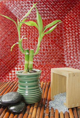 温泉场景与红色背景图片下载