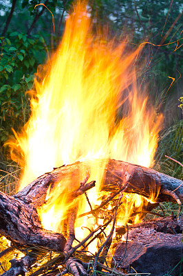 篝火图片下载