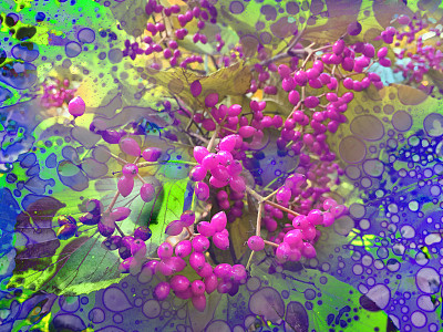 粉红色浆果和树叶的数字合成图像图片下载