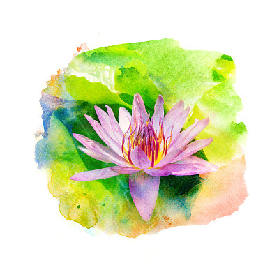 花水彩插图。素材图片