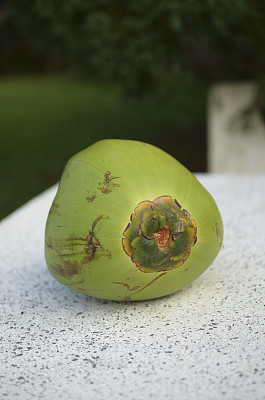 桌子上的椰子图片下载