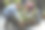 园艺图片素材ID：170902126